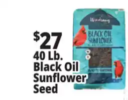 Ocean State Job Lot Black Oil Sunflower Seeds 40 lbs offer