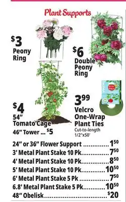 Ocean State Job Lot Plant Supports offer
