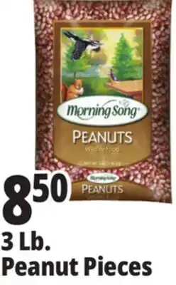 Ocean State Job Lot Morning Song Wildlife Food Peanuts 3 lbs offer