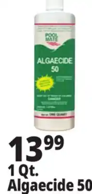 Ocean State Job Lot Pool Mate Algaecide 50 1 Qt offer