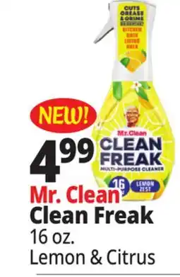 Ocean State Job Lot Mr. Clean Clean Freak offer
