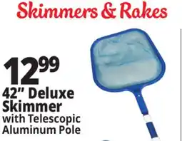 Ocean State Job Lot SwimWorks Leaf Skimmer with Telescopic Pole offer