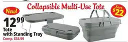 Ocean State Job Lot Tote with Standing Tray offer