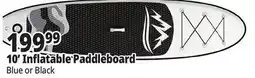 Ocean State Job Lot 10' Inflatable Paddleboard offer