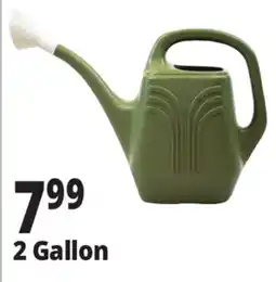 Ocean State Job Lot 2 Gallon Watering Can offer