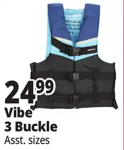 Ocean State Job Lot Vibe 3 Buckle offer