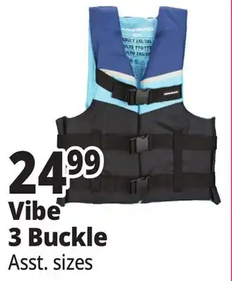 Ocean State Job Lot Vibe 3 Buckle offer