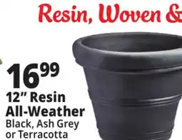 Ocean State Job Lot 12 Resin All—Weather offer