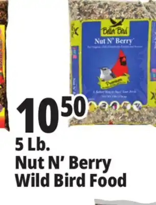 Ocean State Job Lot Better Bird Premium Nut N' Berry Bird Food 5 lbs offer