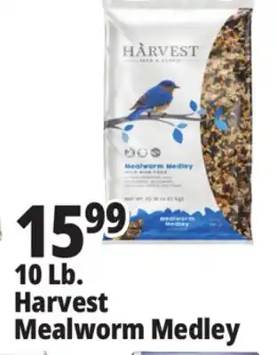 Ocean State Job Lot 10 Lb. Harvest Mealworm Medley offer
