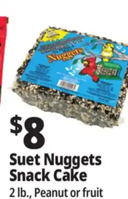 Ocean State Job Lot C&S EZ Fill Suet Cake or Snak Feeder offer