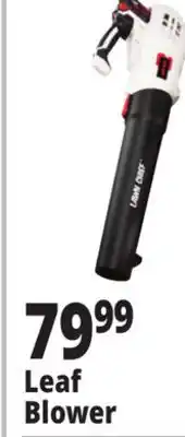 Ocean State Job Lot Leaf Blower offer