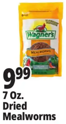 Ocean State Job Lot 7 Oz. Dried Mealworms offer