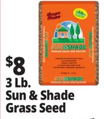 Ocean State Job Lot Premium Quality Sun & Shade Grass Seed Mixture 3 lbs offer