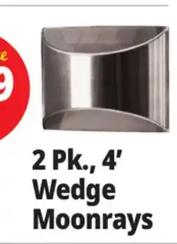 Ocean State Job Lot 2 Pk., 4' Wedge Moonrays offer