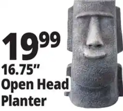 Ocean State Job Lot 16.75 Open Head Planter offer
