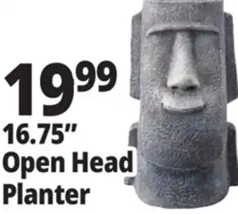 Ocean State Job Lot 16.75 Open Head Planter offer