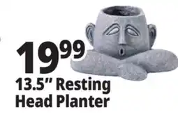 Ocean State Job Lot 13.5 Resting Head Planter offer