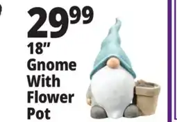 Ocean State Job Lot 18 Gnome With Flower Pot offer