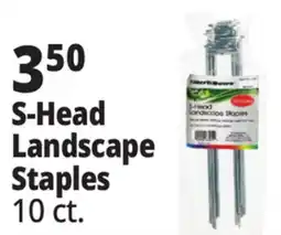 Ocean State Job Lot Tiller & Rowe S-Shaped Landscape Staples 10 Count offer