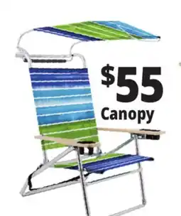 Ocean State Job Lot Canopy offer