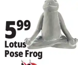 Ocean State Job Lot Stone Frog Statue offer