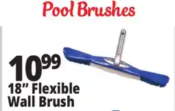Ocean State Job Lot SwimWorks Flexible Wall Brush offer