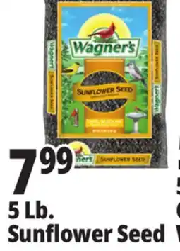 Ocean State Job Lot Wagner's Black Oil Sunflower Seed Wild Bird Food 5 lbs offer