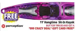 Ocean State Job Lot Perception Hangtime 11.0 Recreational Kayak offer