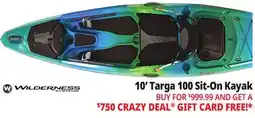 Ocean State Job Lot Wilderness Systems Targa 100 Sit-On-Top Recreational Kayak offer