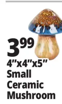 Ocean State Job Lot Small Ceramic Mushroom Assorted offer