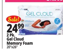Ocean State Job Lot Gel Cloud Memory Foam Comfort Pillows 2-Count offer