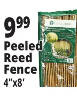 Ocean State Job Lot Peeled Reed Fence 4 x 8' offer