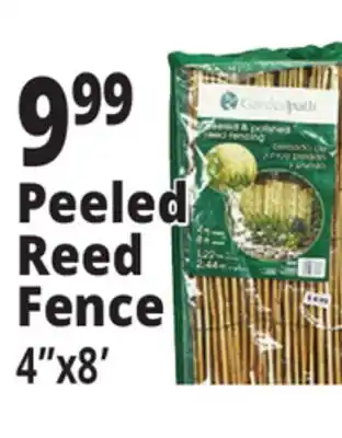 Ocean State Job Lot Peeled Reed Fence 4 x 8' offer