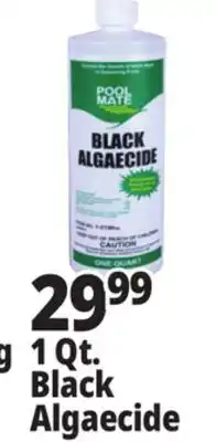 Ocean State Job Lot Pool Mate Black Algaecide 1 Qt offer