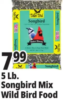Ocean State Job Lot Better Bird Songbird Better Blends Food 5 lbs offer