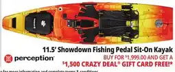 Ocean State Job Lot Perception Showdown 11.5 Fishing Pedal Kayak Dapper offer