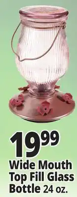 Ocean State Job Lot Perky Pet Top Fill Glass Hummingbird Feeder 24 oz offer