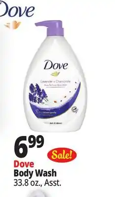 Ocean State Job Lot Dove Body Wash offer