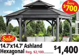 Ocean State Job Lot Ashland 14.7' x 14.7' Hexagonal Hardtop Gazebo offer