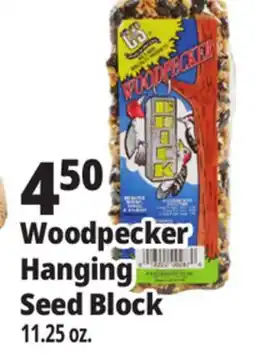 Ocean State Job Lot Woodpecker Hanging Seed Block offer