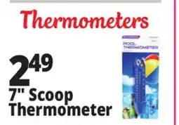 Ocean State Job Lot SwimWorks Pool & Spa Thermometer offer
