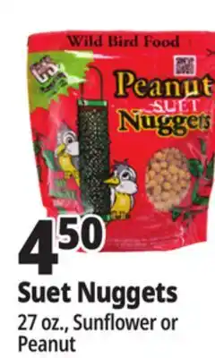 Ocean State Job Lot C&S Sunflower Suet Nuggets 27 oz offer