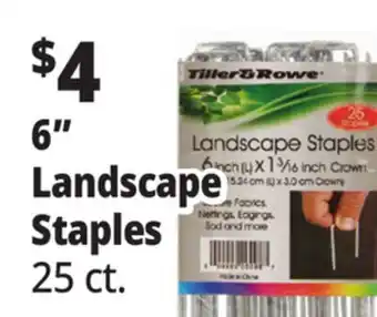 Ocean State Job Lot Tiller & Rowe 6 Landscape Staples 25 Count offer