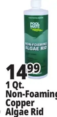 Ocean State Job Lot 1 Qt. Non-Foaming Copper Algae Rid offer