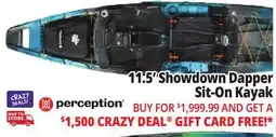 Ocean State Job Lot Perception Showdown 11.5 Fishing Pedal Kayak Dapper offer