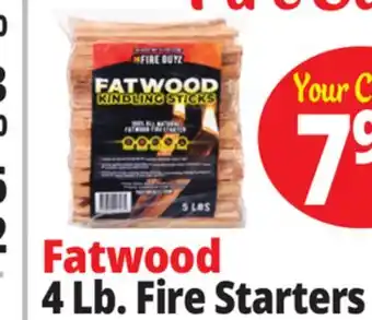 Ocean State Job Lot 4 Lb. Fire Starters offer