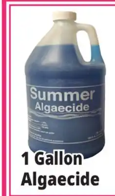 Ocean State Job Lot Summer Algaecide 1 Gal offer