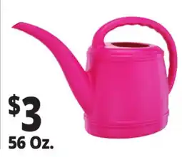 Ocean State Job Lot 56 Oz. Watering Cans offer
