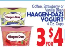 Bravo Supermarkets HAAGEN-DAZS YOGURT offer